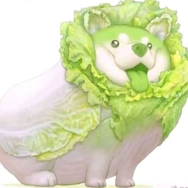 留言专区